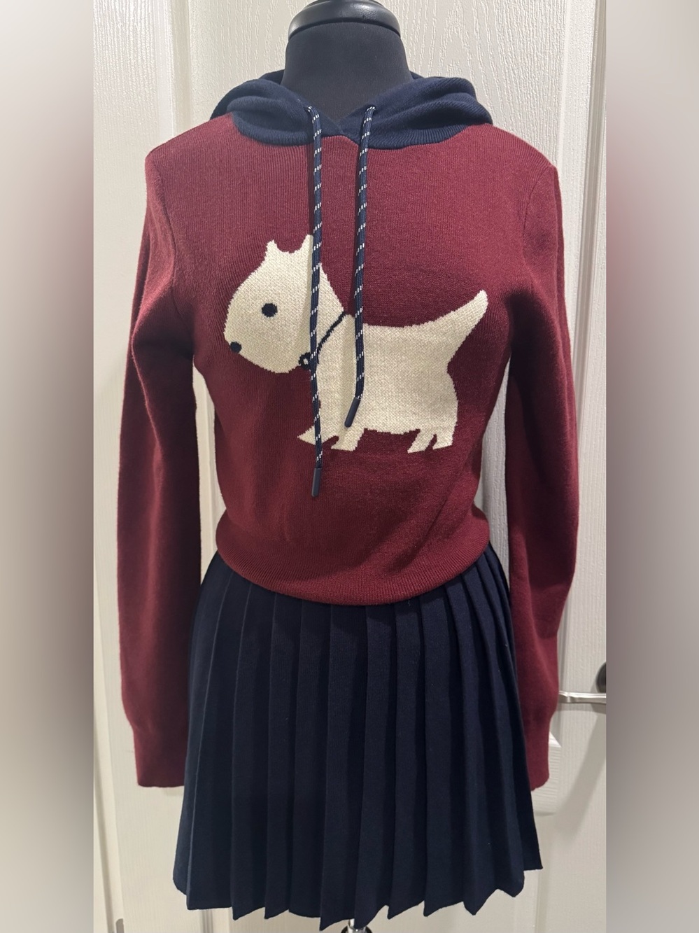 Burgundy/Navy Blue Dog-Graphic Hoodie Sweater and Skirt Set
